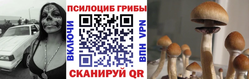 Псилоцибиновые грибы ЛСД  Инза 